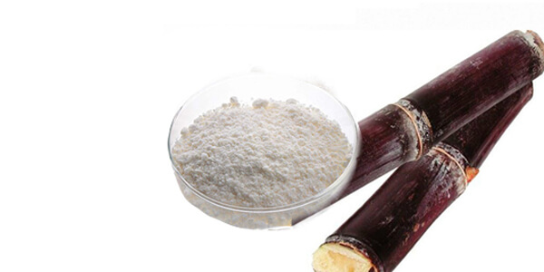 Policosanol (Triacontanol) supplier Policosanol (Triacontanol) supplier